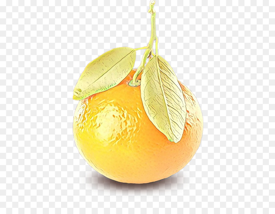 Orange，Agrumes PNG