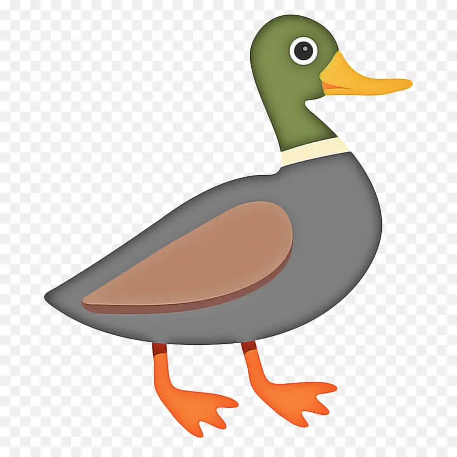 Canard De Dessin Animé，Oiseau PNG