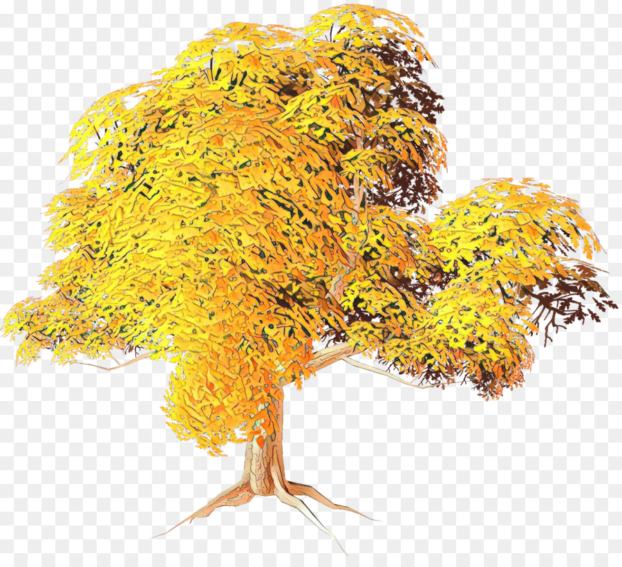 Arbre D'automne，Feuilles PNG