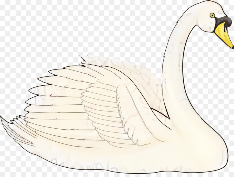 Cygne，Eau PNG