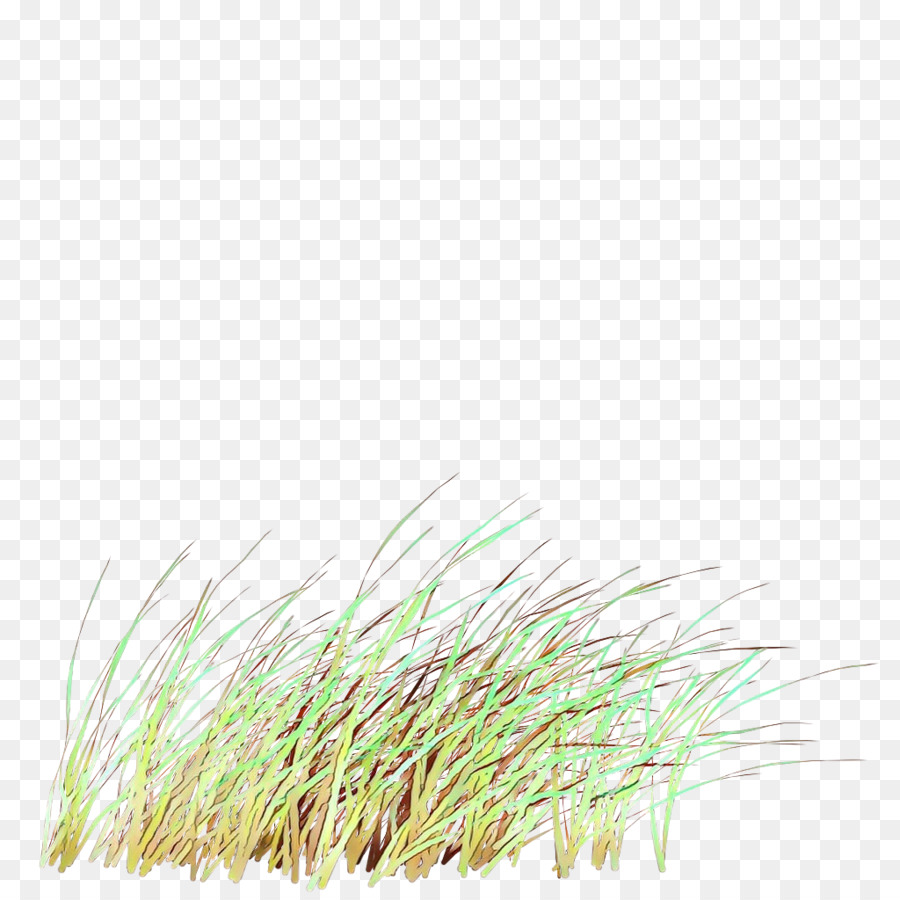 L'herbe，Herbes PNG