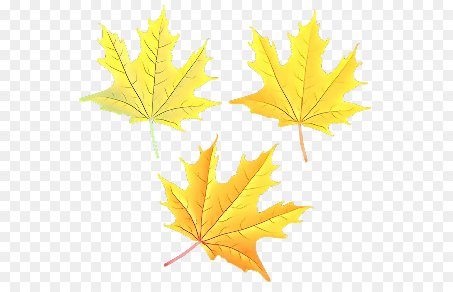 Feuilles Jaunes，Automne PNG