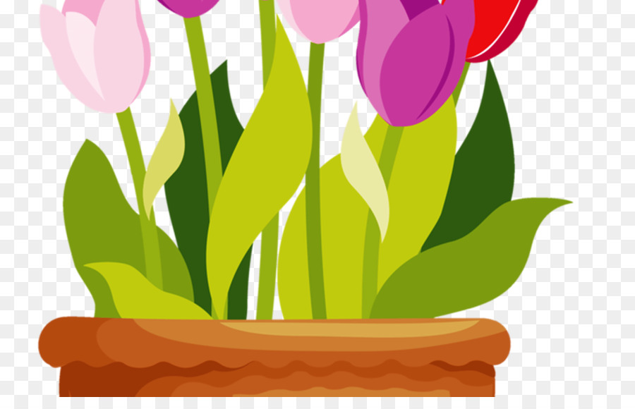 Flowerpot，Fleur PNG