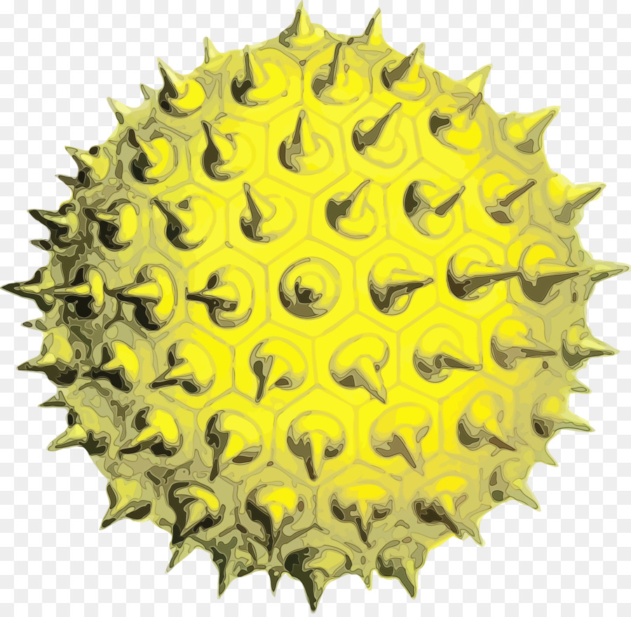 Pollen，Allergie PNG