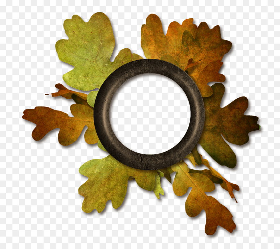 Couronne D'automne，Feuilles PNG