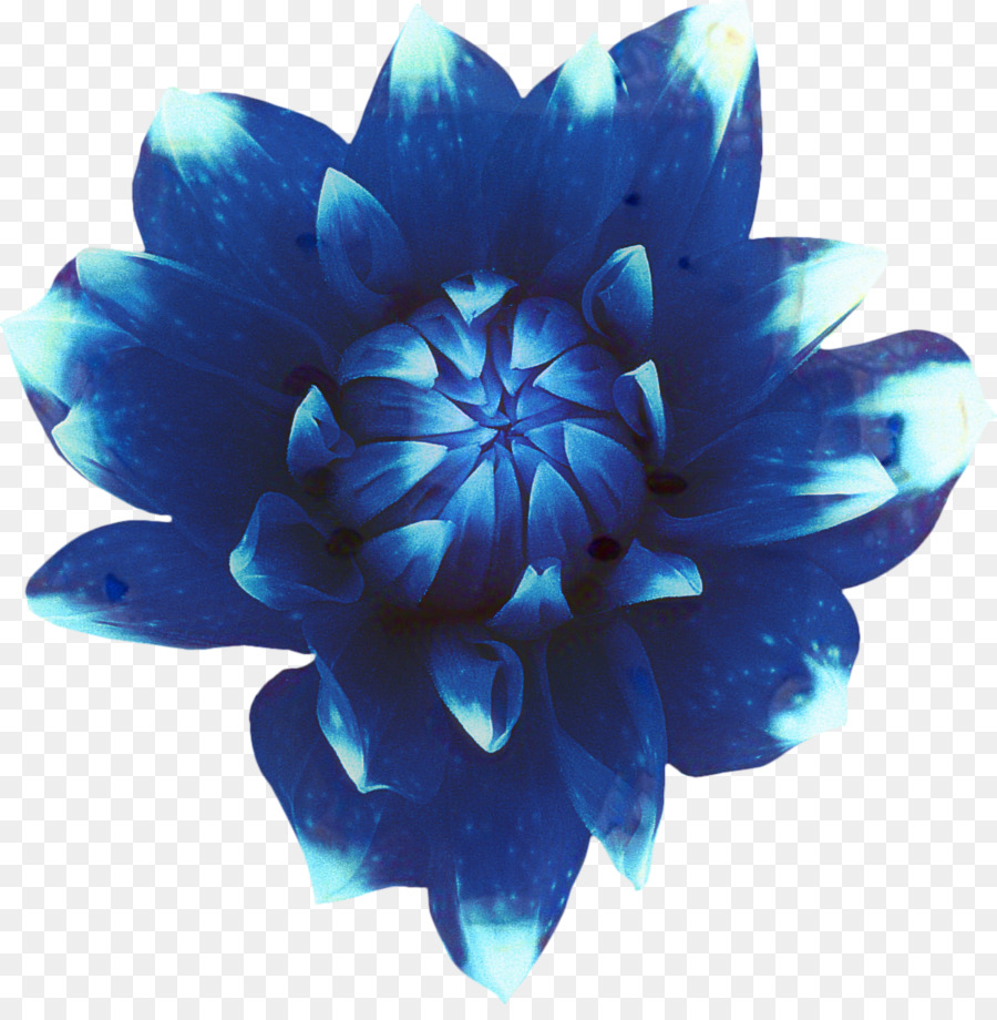 Fleurs Bleues，Paillettes PNG