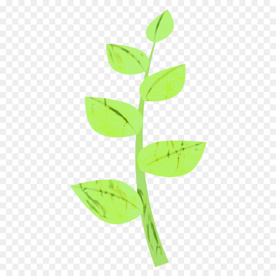 Feuilles Vertes，Feuillage PNG