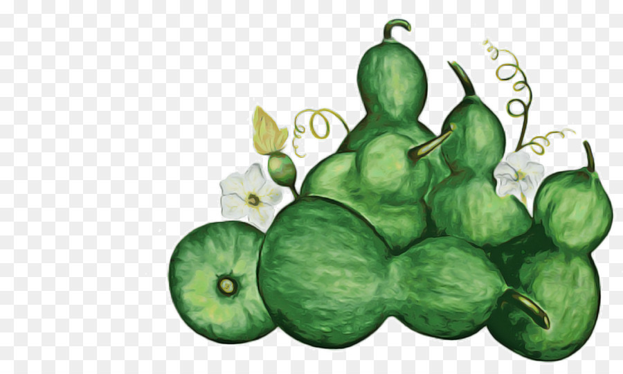 Melon，Les Cucurbitacées PNG