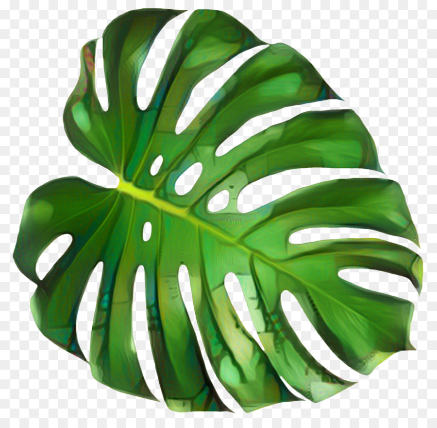 Feuille Verte，Grand PNG