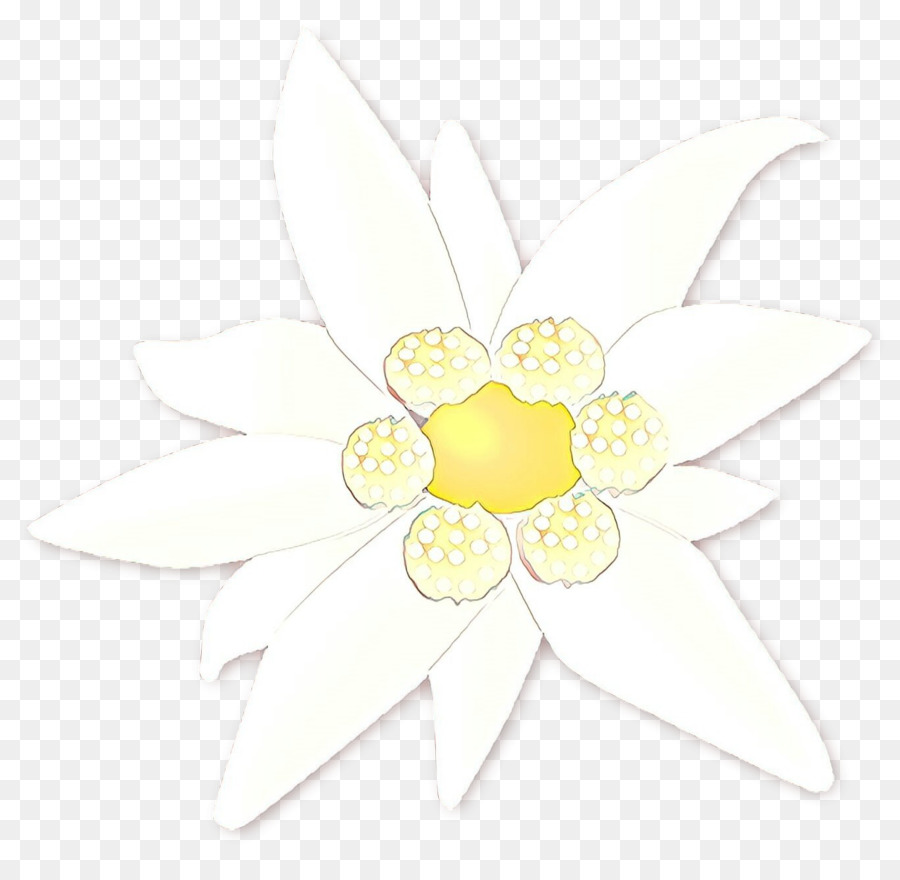 Design Floral，Les Fleurs Coupées PNG