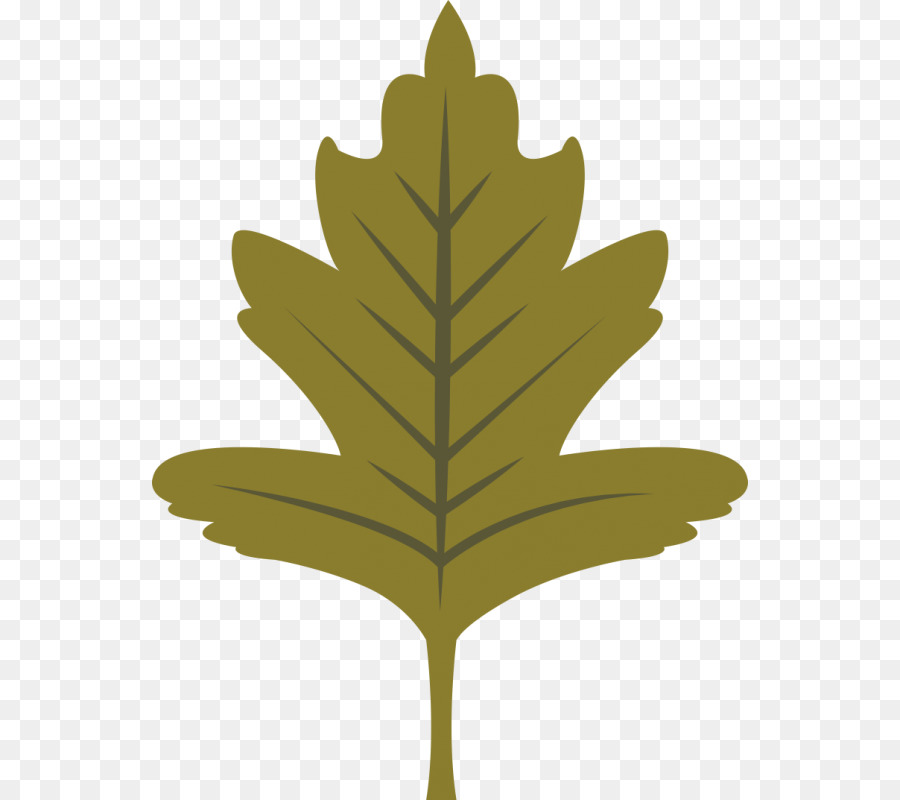 Feuille，Ironon PNG