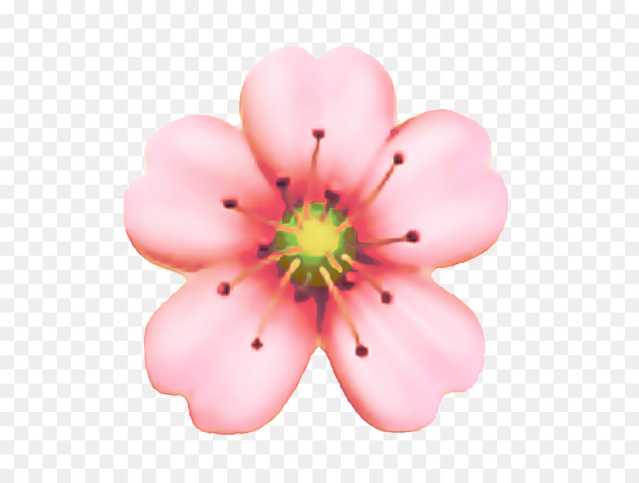 Fleur，Fleurir PNG