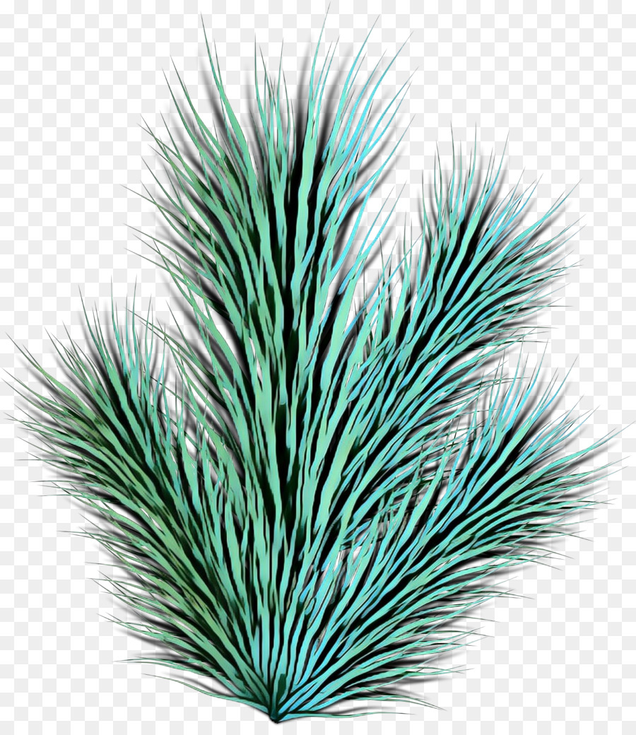 L'herbe，Herbes PNG