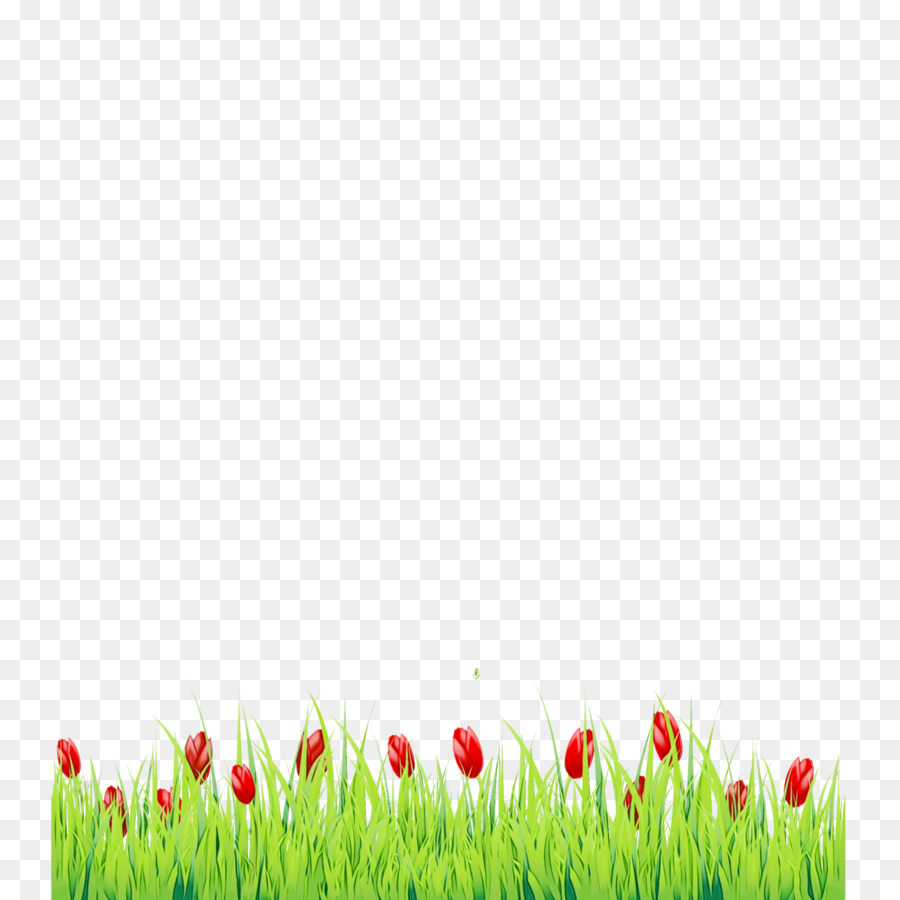 Tulipe，Usine PNG