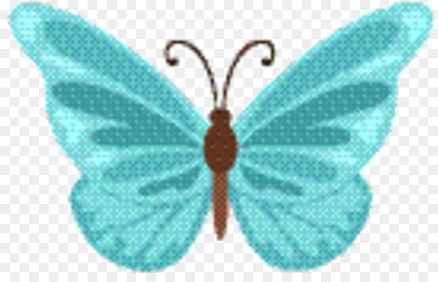 Papillon Violet，Ailes PNG