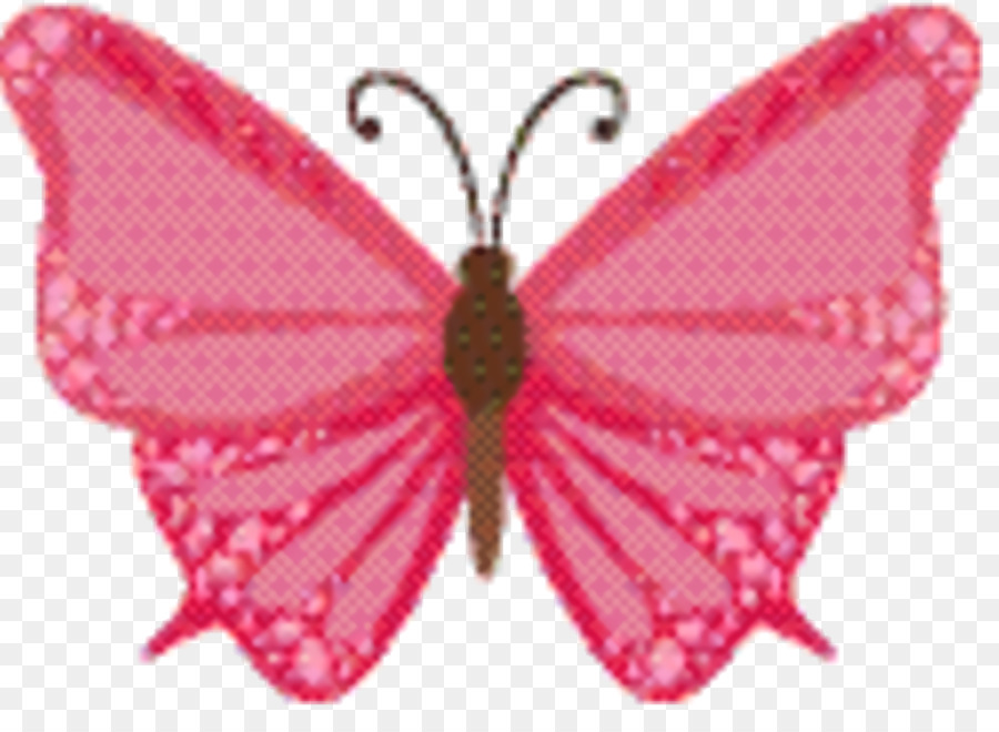 Papillon Violet，Ailes PNG