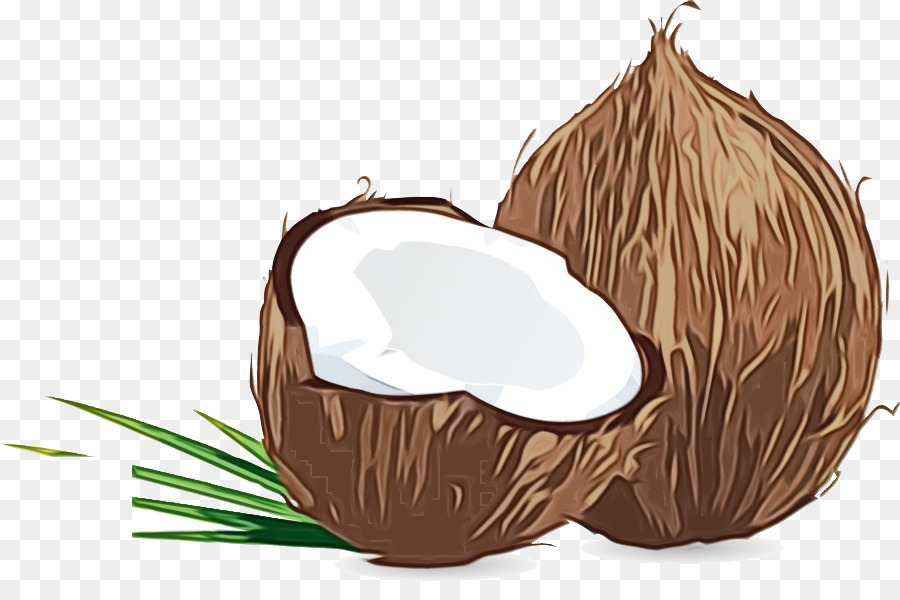 Noix De Coco，Tropical PNG