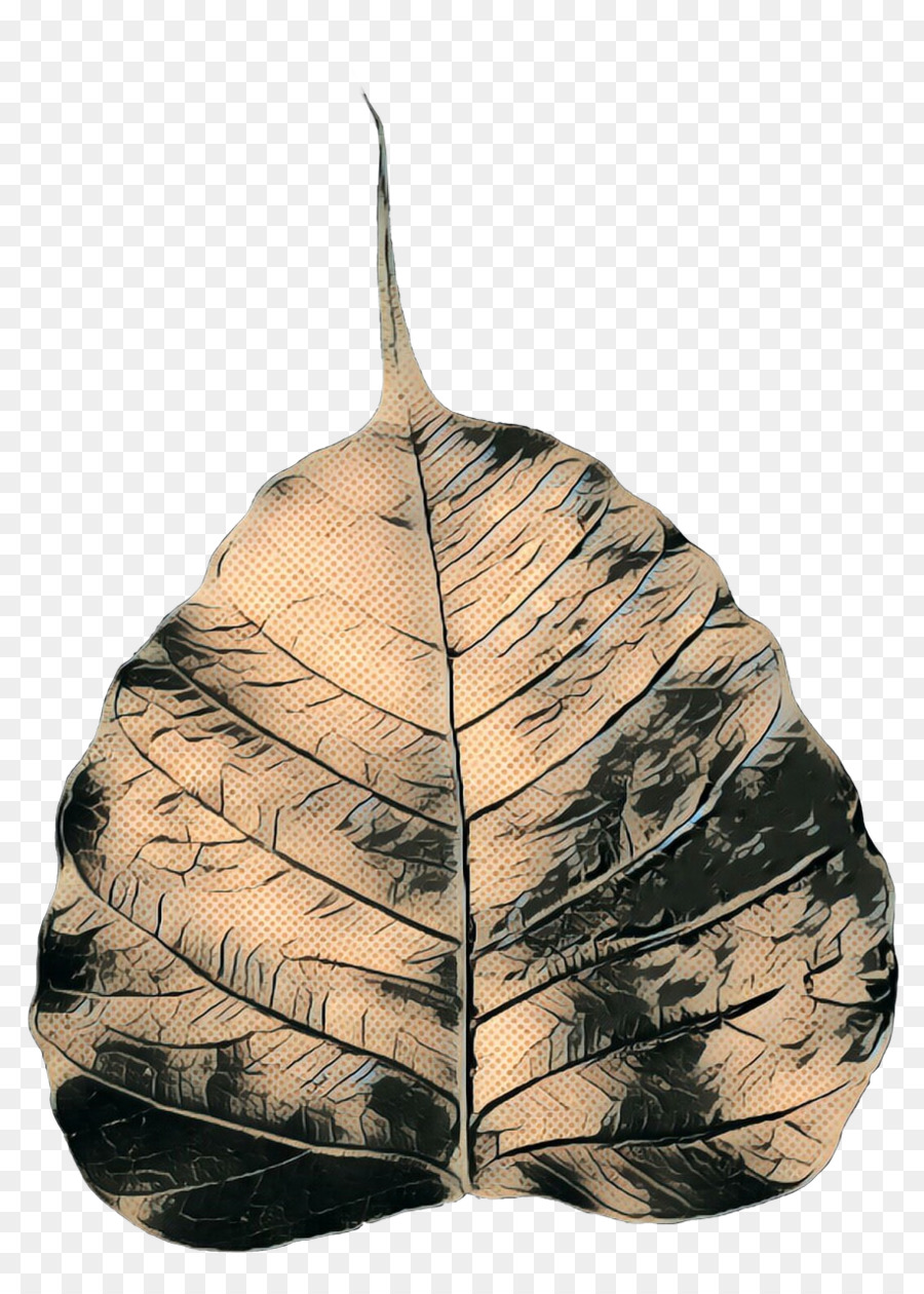 Feuille D'oranger，Feuille PNG