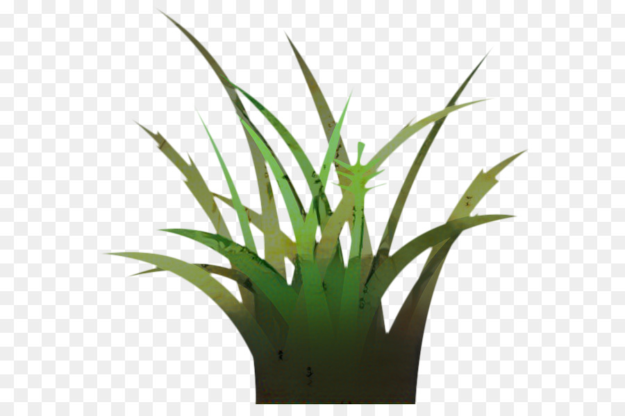 Herbes，Tige De La Plante PNG