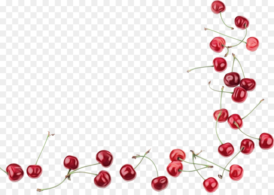 Cerises Et Coeurs，Fruit PNG