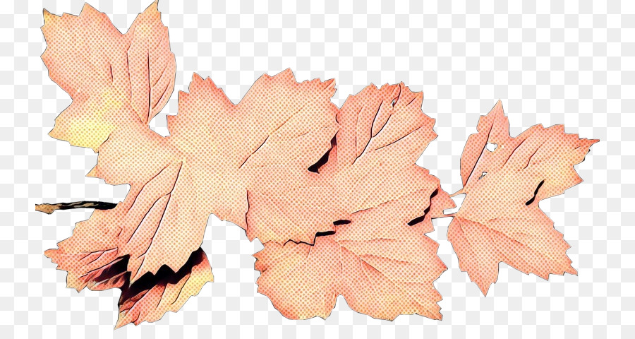 Feuille，Hm PNG