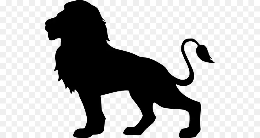 Lion，Silhouette PNG