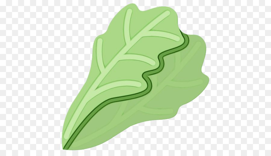 Légumes Feuilles，Légume PNG