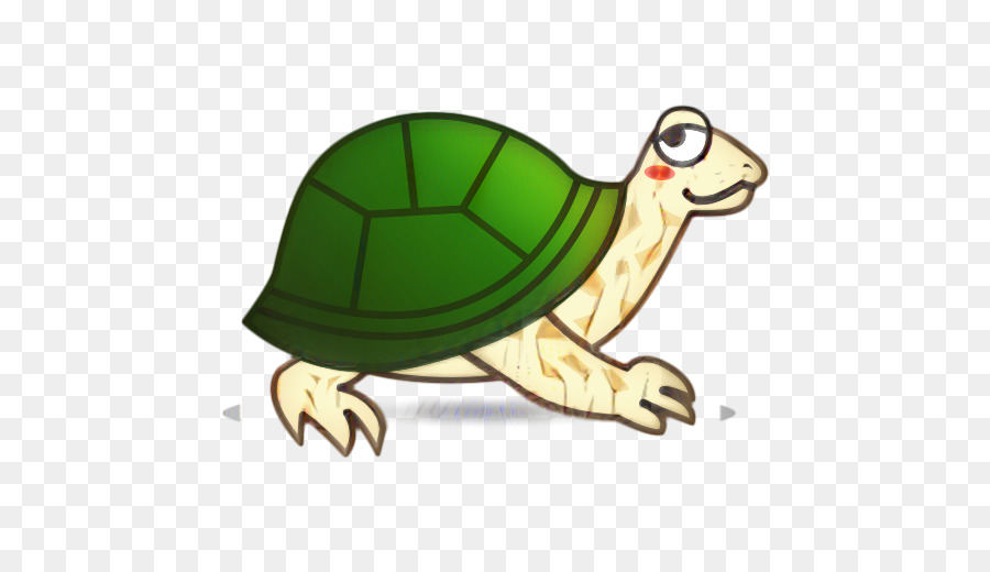 Tortue，Tortue Winsko M PNG