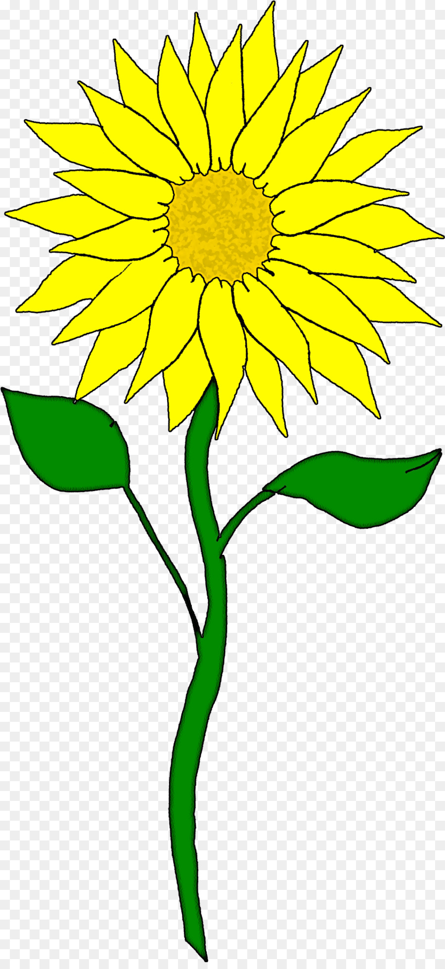 Tournesol，Dessin PNG