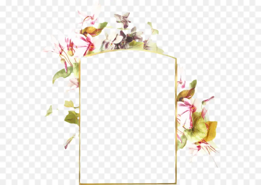 Cadre Floral，Cadre PNG