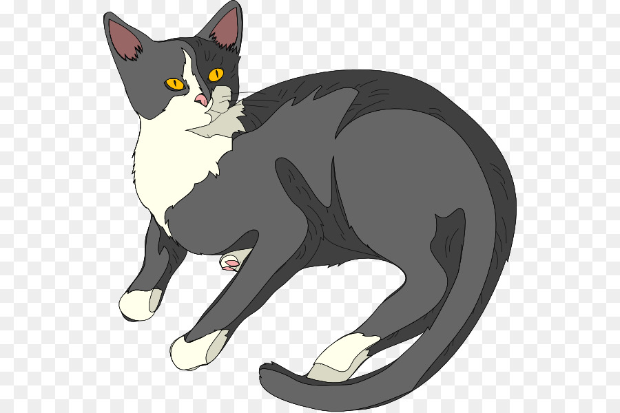 Chat，Animal De Compagnie PNG