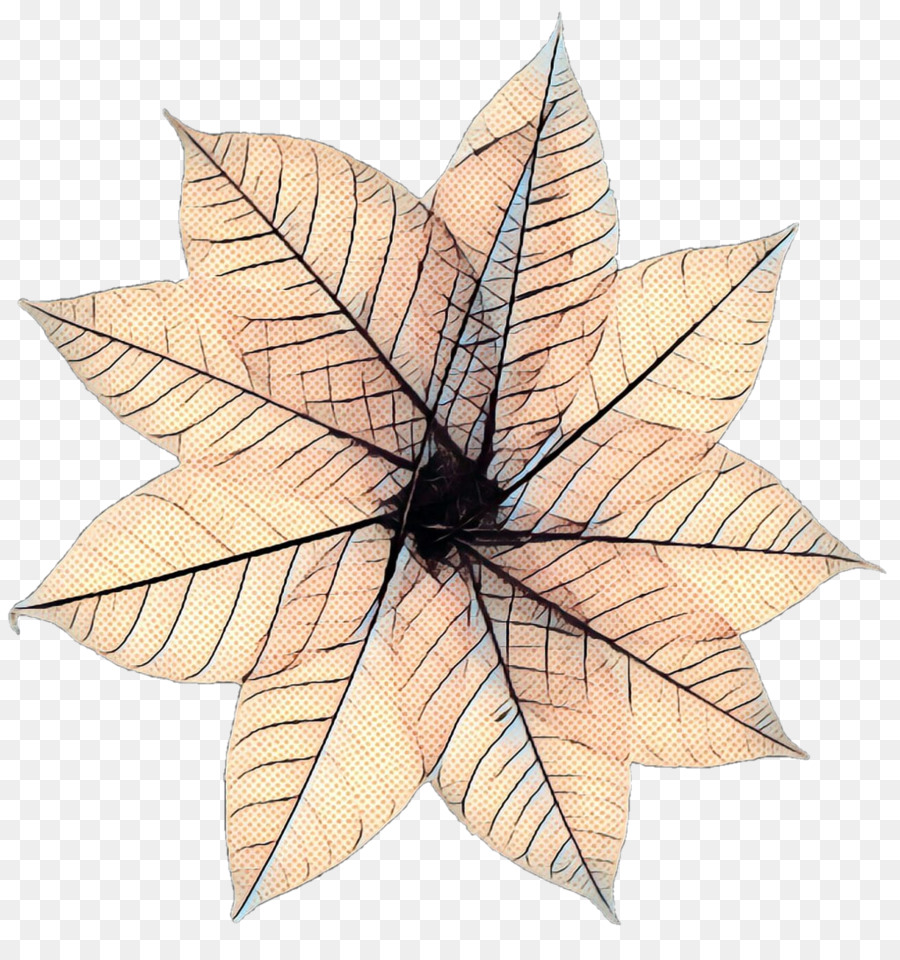 Feuille， PNG