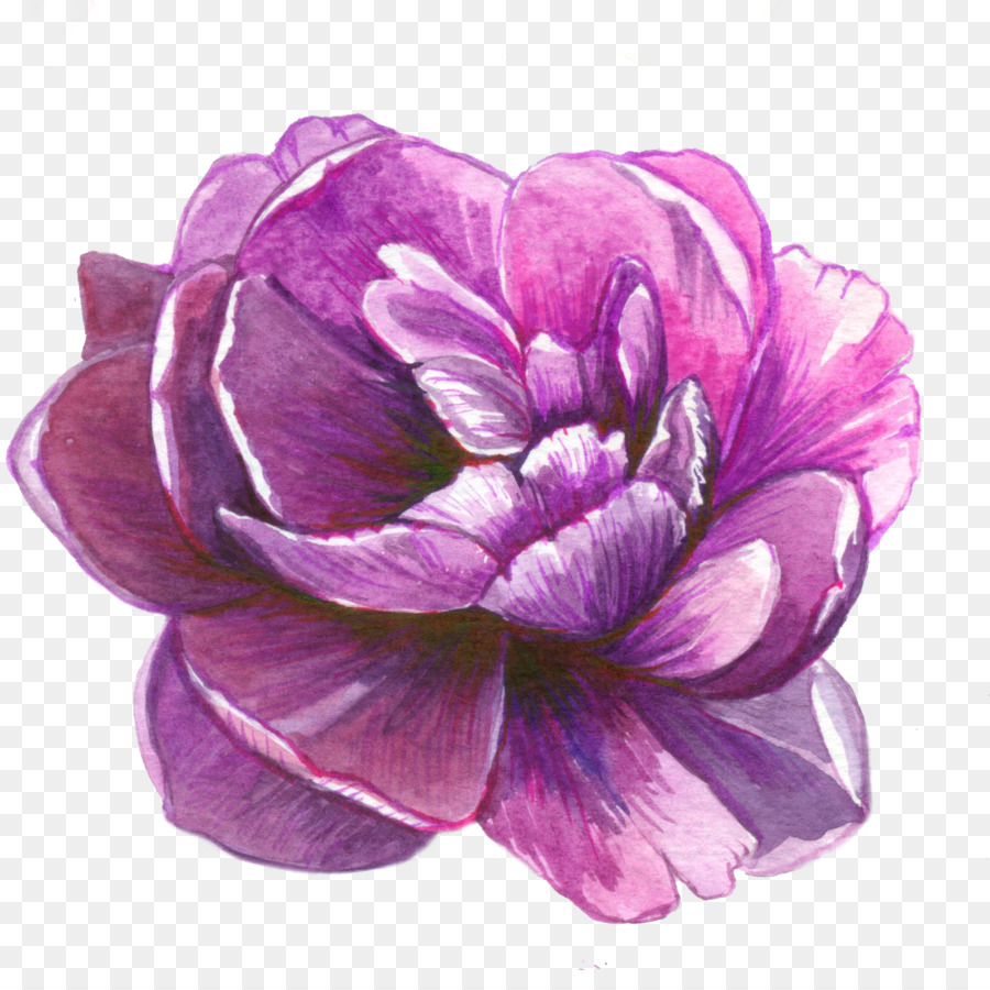 Autocollant，Fleur PNG