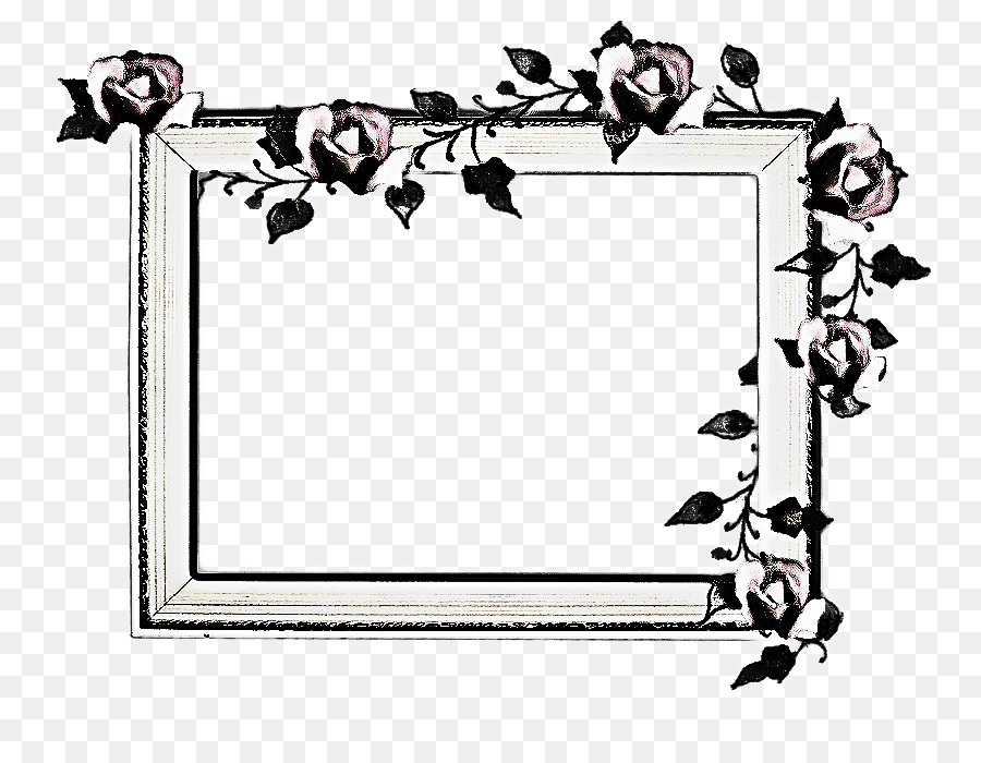 Cadre Floral，Fleurs PNG