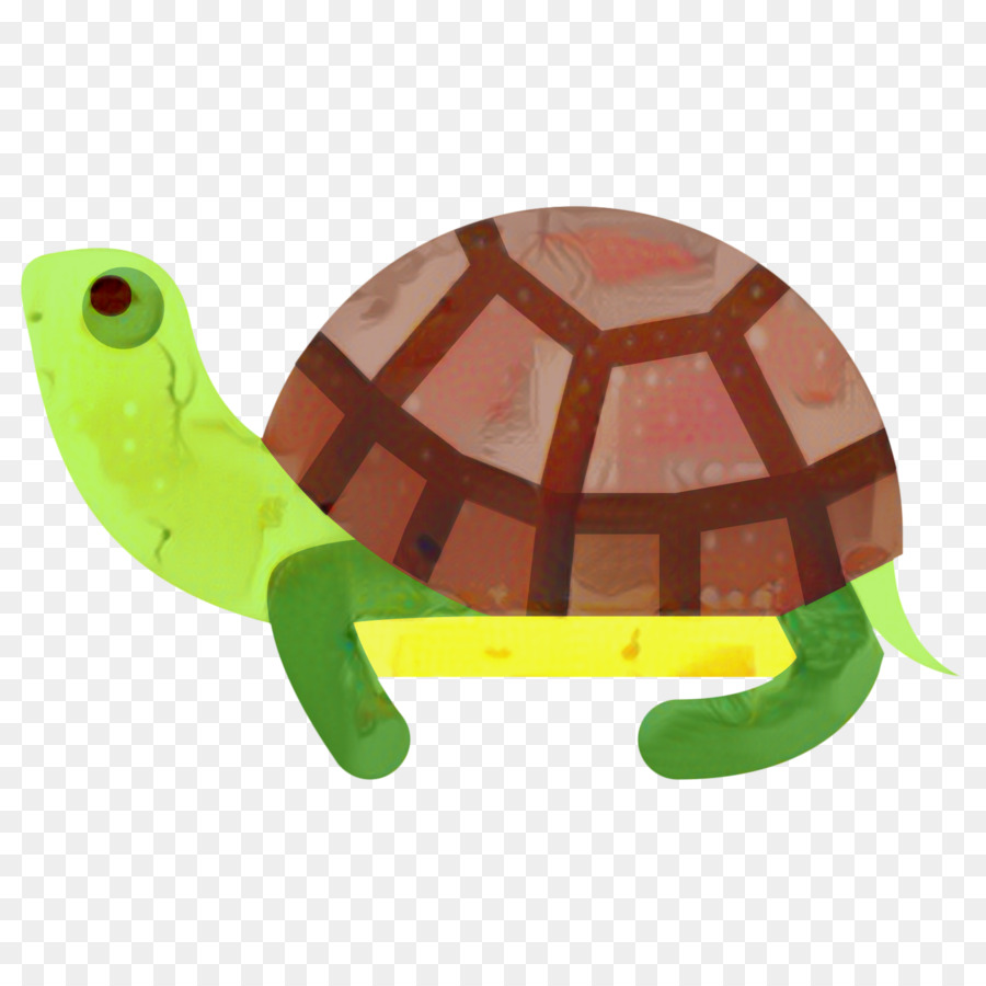 Tortue Verte，Coquille PNG