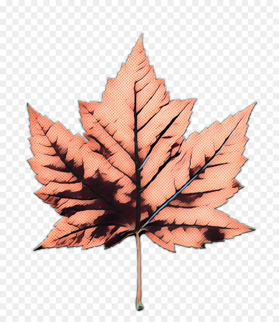 Feuille Rouge，Nature PNG