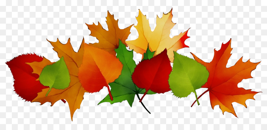 Feuilles D'automne，Automne PNG