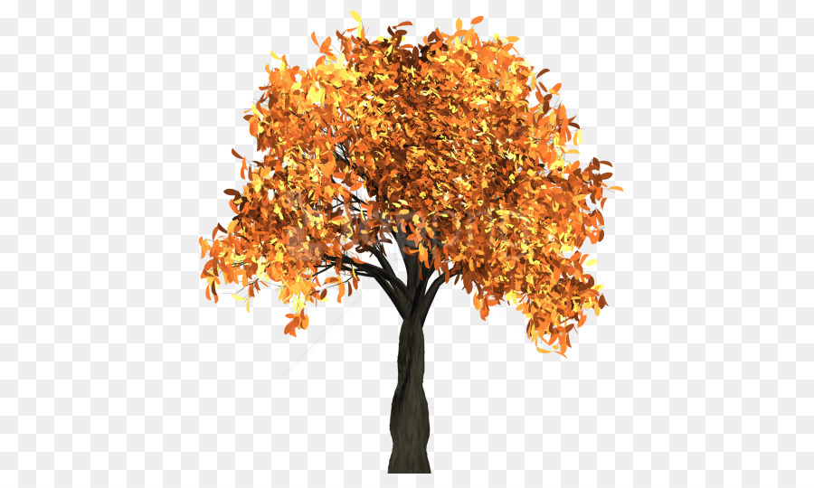 Arbre，Automne PNG