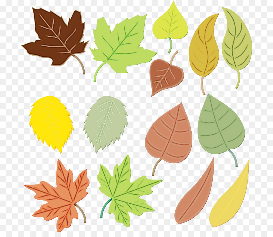 Feuilles D'automne，Automne PNG