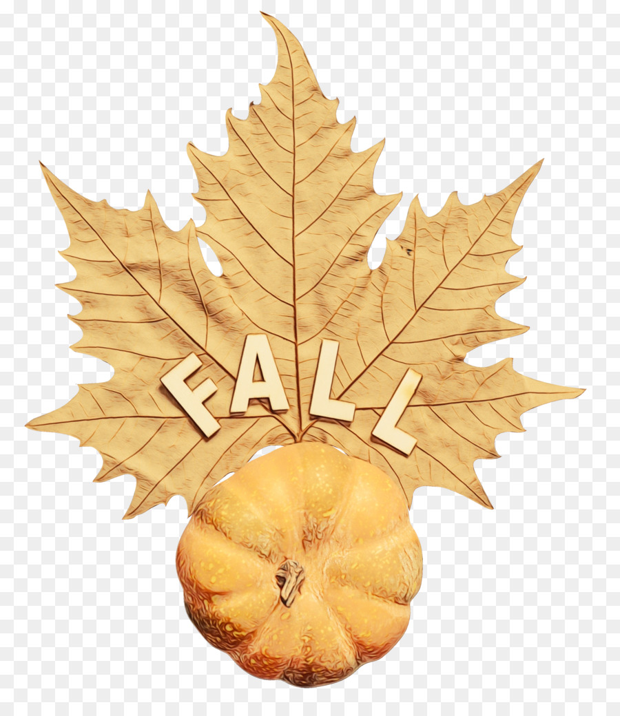 La Feuille D'érable，Feuille PNG