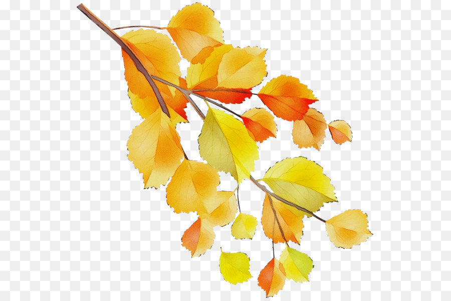 Feuilles D'automne，Automne PNG