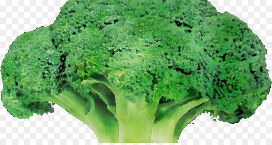 Brocoli，Légume PNG