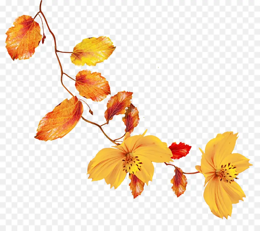 Feuilles Et Fleurs D'automne，Automne PNG