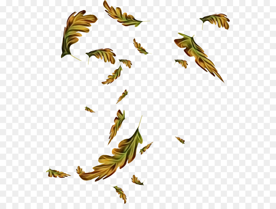 Les Insectes，Tige De La Plante PNG