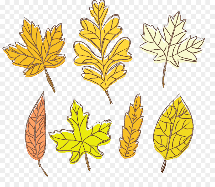 Feuilles D'automne，Automne PNG