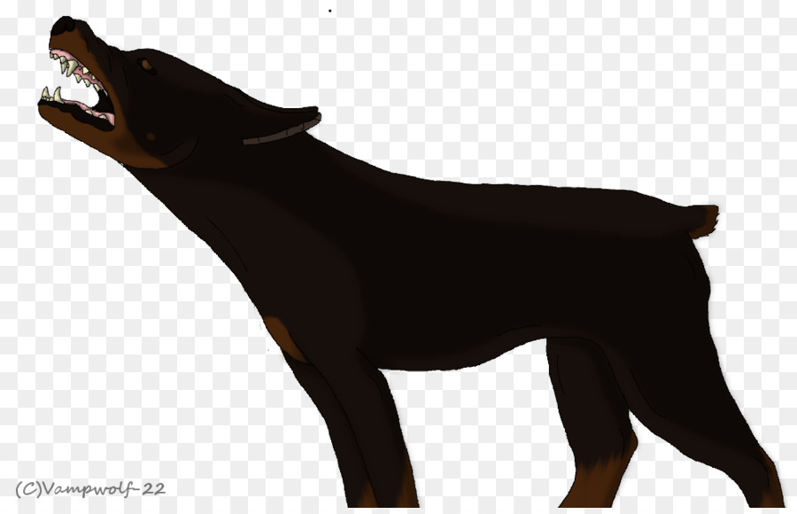 Dobermann，Pinscher Miniature PNG