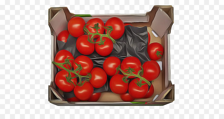 Tomate Prune，Tomate PNG