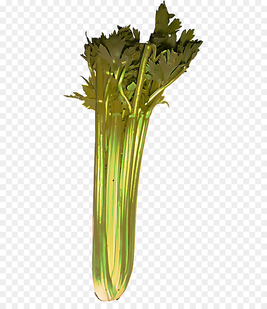 Céleri，Légumes PNG