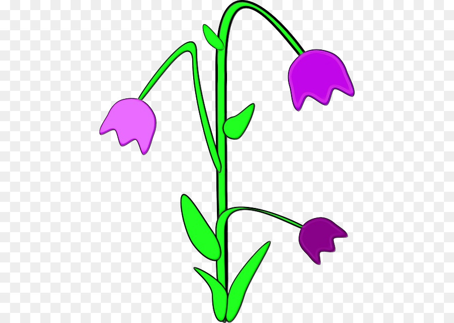 Design Floral，Les Fleurs Coupées PNG