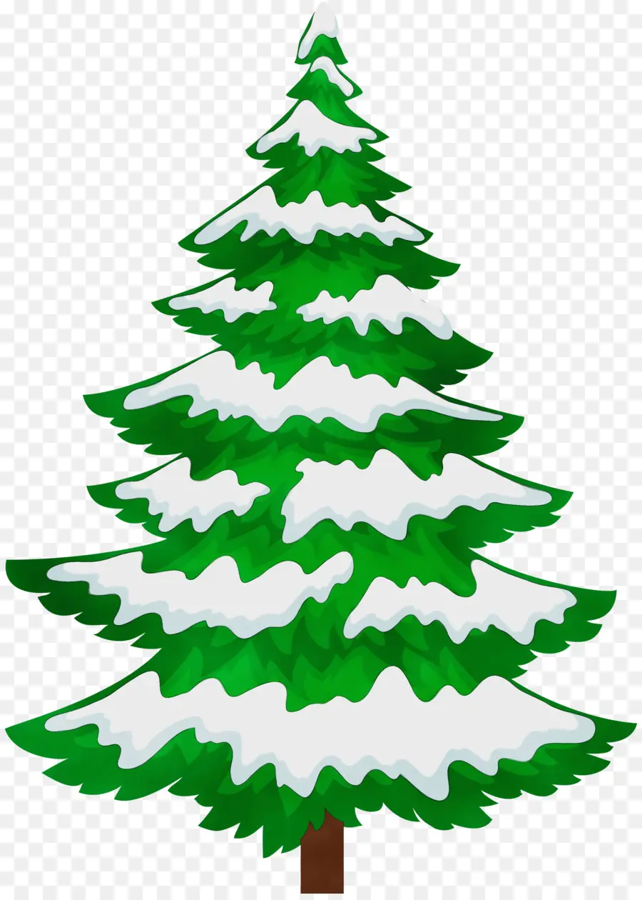 Pin，Arbre PNG